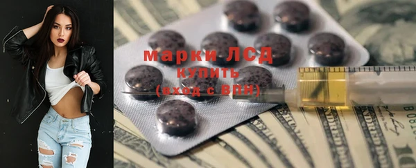 индика Алзамай