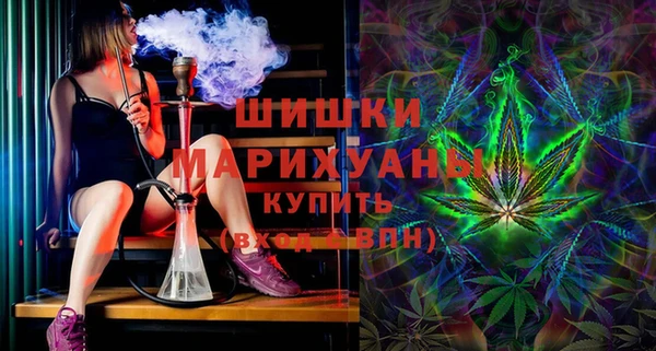 индика Алзамай