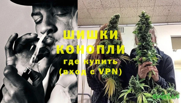 индика Алзамай