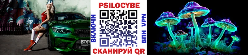 Галлюциногенные грибы Psilocybe  цена   Калязин 